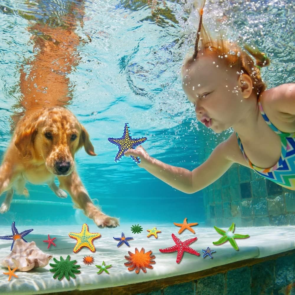 Diving Pool Toys Colorful Star – Aquatic Diving recenzja i cena