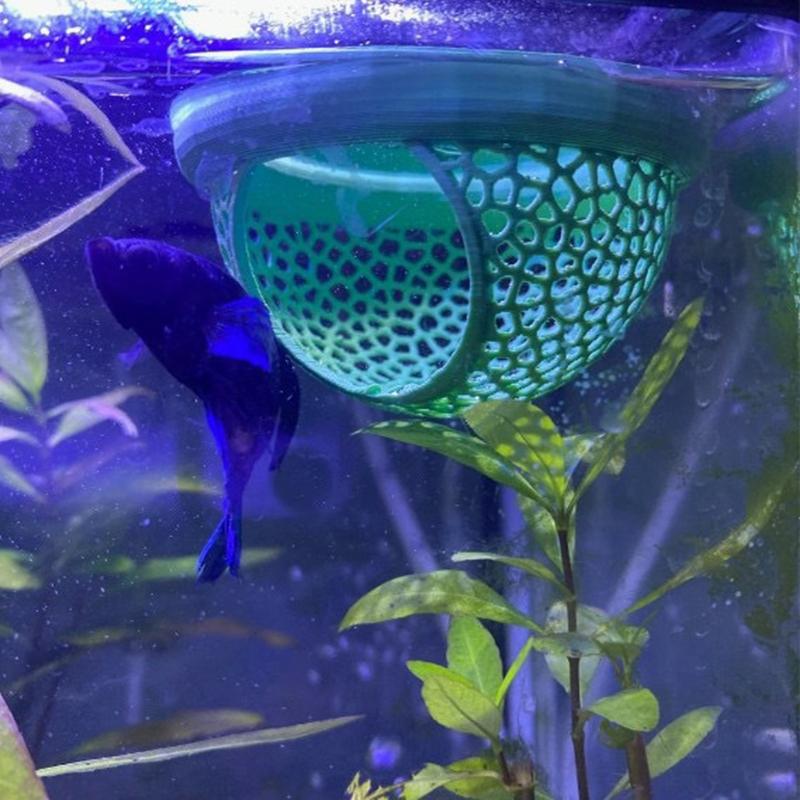 Aquarium Hammock for Betta and – Aquatic Zone recenzja i cena