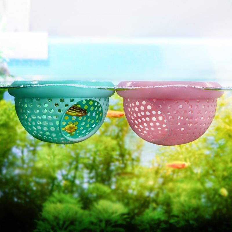 Aquarium Hammock for Betta and – Aquatic Zone recenzja i cena